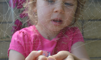 a child observing a spider web