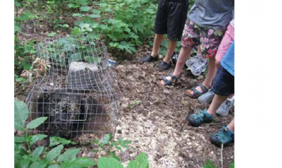 Children looking at animal in cage