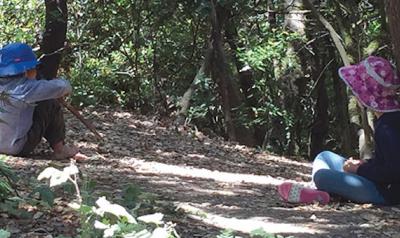 Children sitting in woods