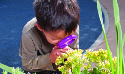 Boy looking at a plant through a magnifying glass