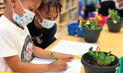 children taking notes about some plants