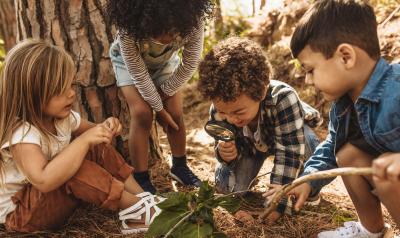 A group of students looking at a plant in the forest