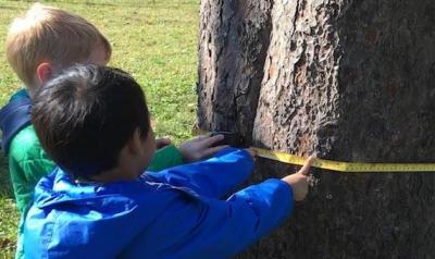 Two children measuring a tree