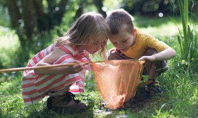 two children looking in an insect net