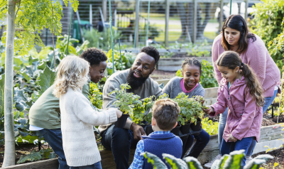 A teacher working with students in a garden