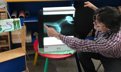 A veterinarian points out animal x-ray