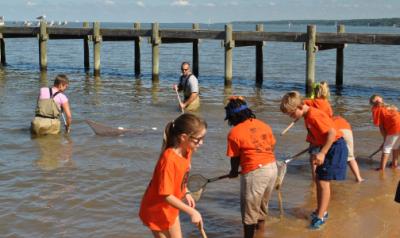 Children using nets to fish at the bay