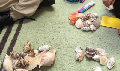 a child observing a pile of shells