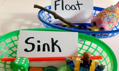 Two plastic bowls with objects inside and signs that say 'sink' and 'float'