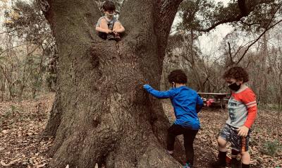 a group of children playing around a tree