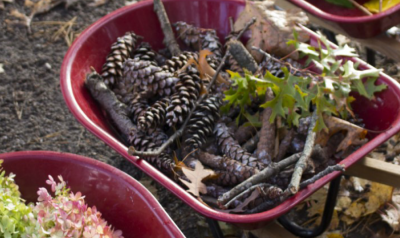 a bucket of nature items like pinecones and leaves
