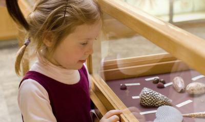 A girl looks at artifacts in a museum.