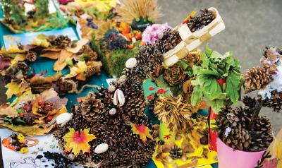 Pinecones and seasonal plants artwork