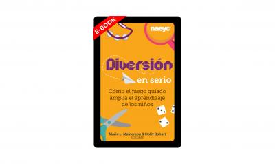book cover of the spanish e-book version of Serious Fun 