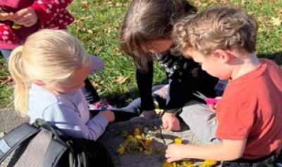 A group of kids exploring  outside