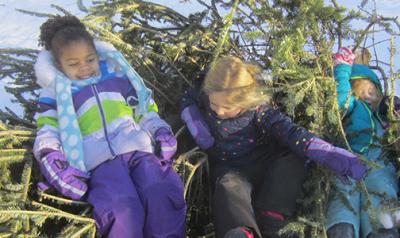 Three preschoolers with holiday trees