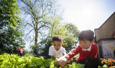 Two young children working and learning outside