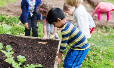 children planting in a garden