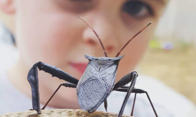 a child looking at an insect