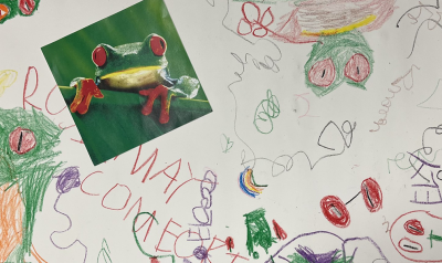 a picture of a class book made my students
