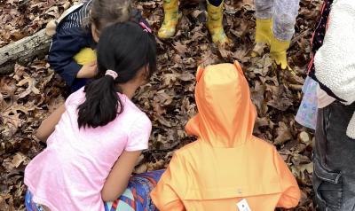 Children learning together in the woods