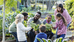 An educator teaching his students in a garden