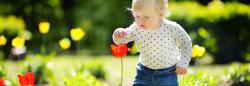 Toddler outdoors touching a flower in the garden