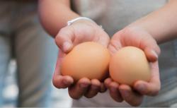 Child holding two brown eggs