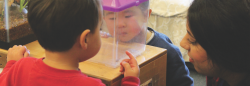 two toddlers and teachers looking in plastic box