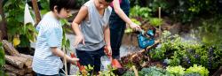 Children in the garden