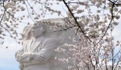 Dr. King Memorial