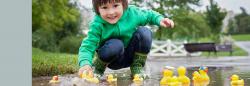 Young child playing with rubber duckies in a puddle outside