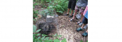 Children looking at animal in cage