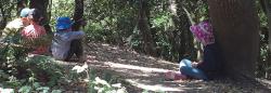 Children sitting in woods