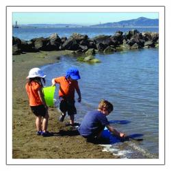 Children collecting rocks 