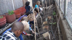 Children gardening