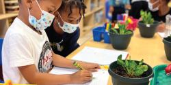 children taking notes about some plants