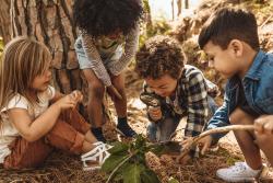 A group of students looking at a plant in the forest