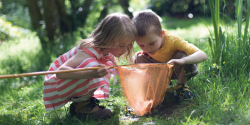 two children looking in an insect net