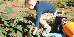 a child playing with toy cars outside in the grass