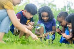 Image of children observing nature