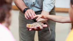 Teacher holding iguana