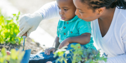 A young child in a garden with an adult.