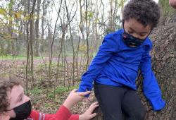 children climbing a tree