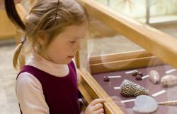 A girl looks at artifacts in a museum.