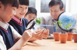 Children observe a hermit crab