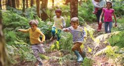 Several children run playfully through a forest.
