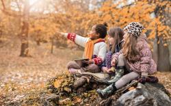 Three children sitting on a rock in the woods