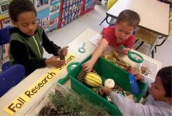 Children looking through fall supplies