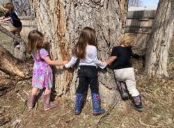 Children gathered around a tree.